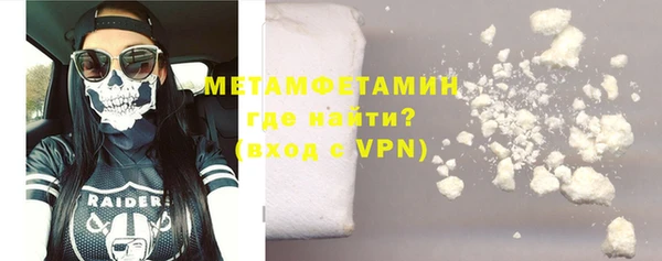 прущие грибы Волоколамск