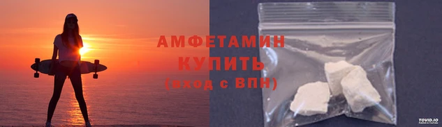 прущие грибы Волоколамск