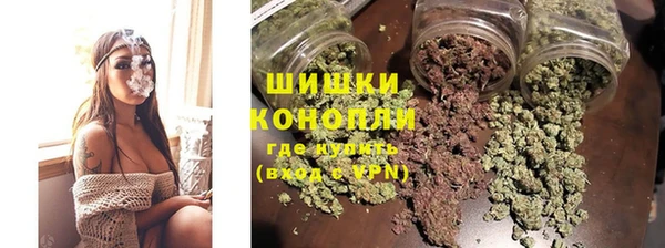 шишки Бородино