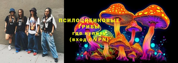 прущие грибы Волоколамск