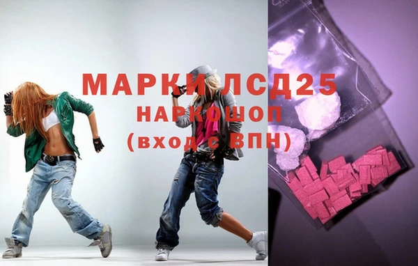 прущие грибы Волоколамск