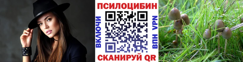 Псилоцибиновые грибы мухоморы  Ершов 